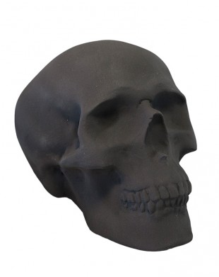 Black Matt Skull